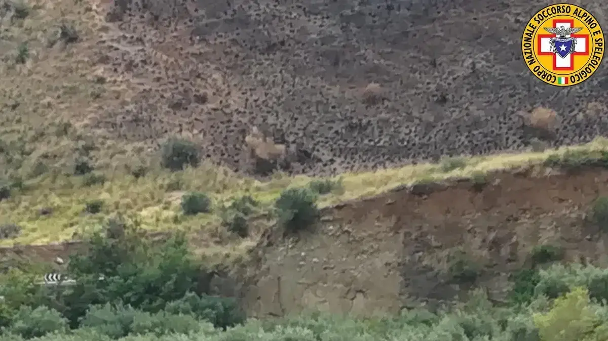 מסוק חילוץ בשיטפונות באזור צ'יביטה, קלבריה, איטליה, 20 באוגוסט 2018 מסוק חילוץ בשיטפונות באזור צ'יביטה, קלבריה, איטליה, 20 באוגוסט 2018