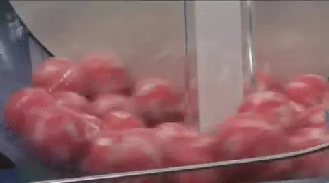 גיף לוטו גיף לוטו