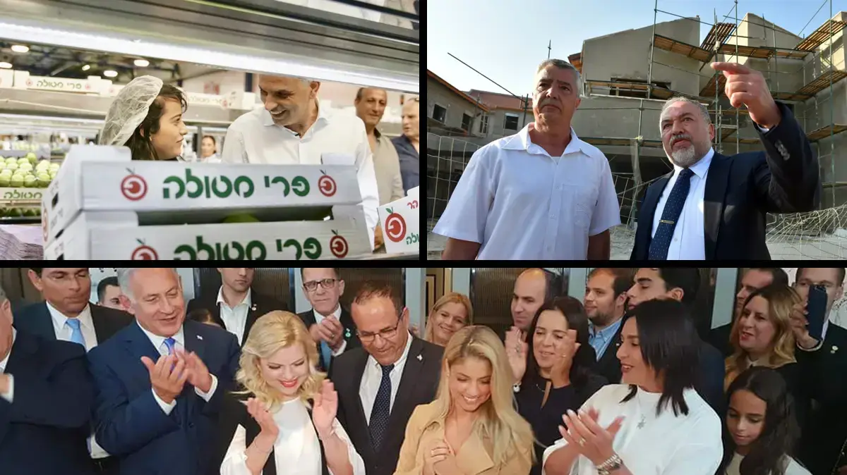 טל שלו