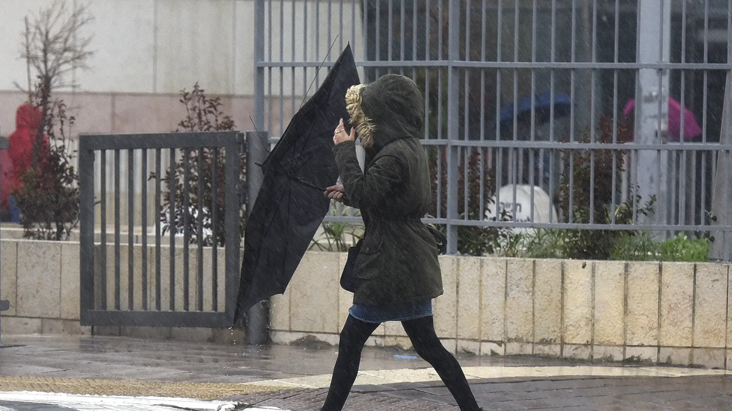 מזג אוויר חורפי בפתח תקווה, 9 בינואר 2019 מזג אוויר חורפי בפתח תקווה, 9 בינואר 2019