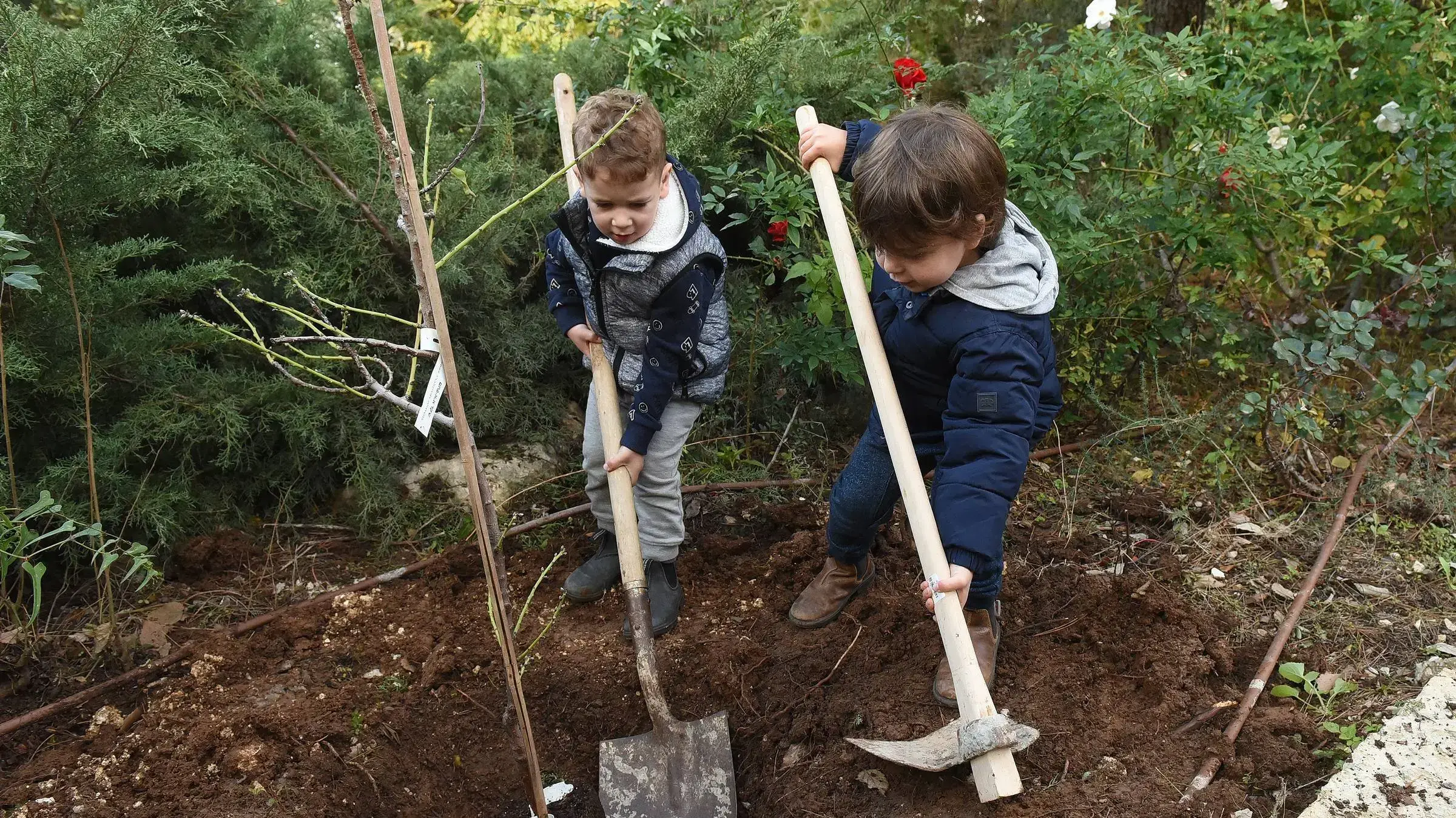 אירוע נטיעת יער במודיעין 20 בינואר 2019 
