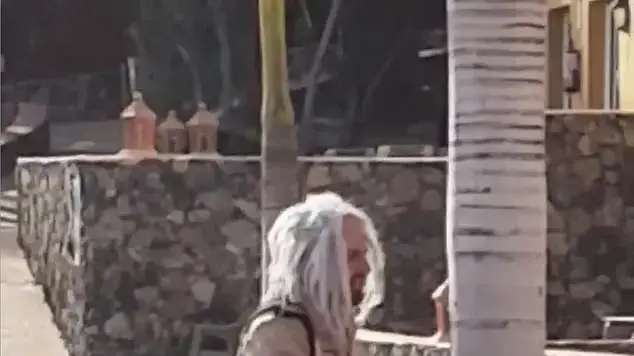 עובד בית מלון בספרד חבוש פאה מסתובב עם נשק בין האורחים עובד בית מלון בספרד חבוש פאה מסתובב עם נשק בין האורחים