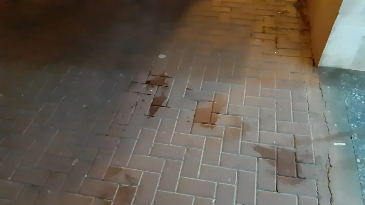 הדם ביציאה מהמעלית ובכניסה לבניין ברחובות 9 בפברואר 2019 הדם ביציאה מהמעלית ובכניסה לבניין ברחובות 9 בפברואר 2019