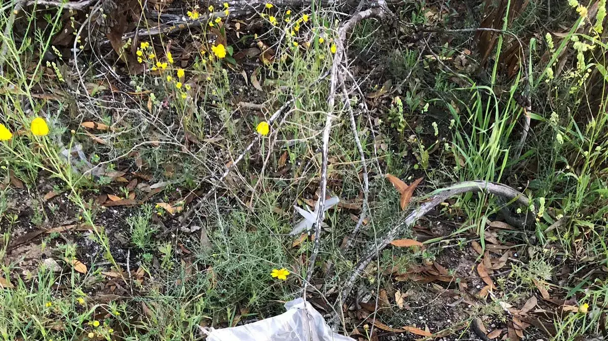 צוות כיבוי פעל בשריפת קוצים שנגרמה מעפיפון תבערה באזור מועצה אזורית אשכול, 20 במרץ 2019 צוות כיבוי פעל בשריפת קוצים שנגרמה מעפיפון תבערה באזור מועצה אזורית אשכול, 20 במרץ 2019