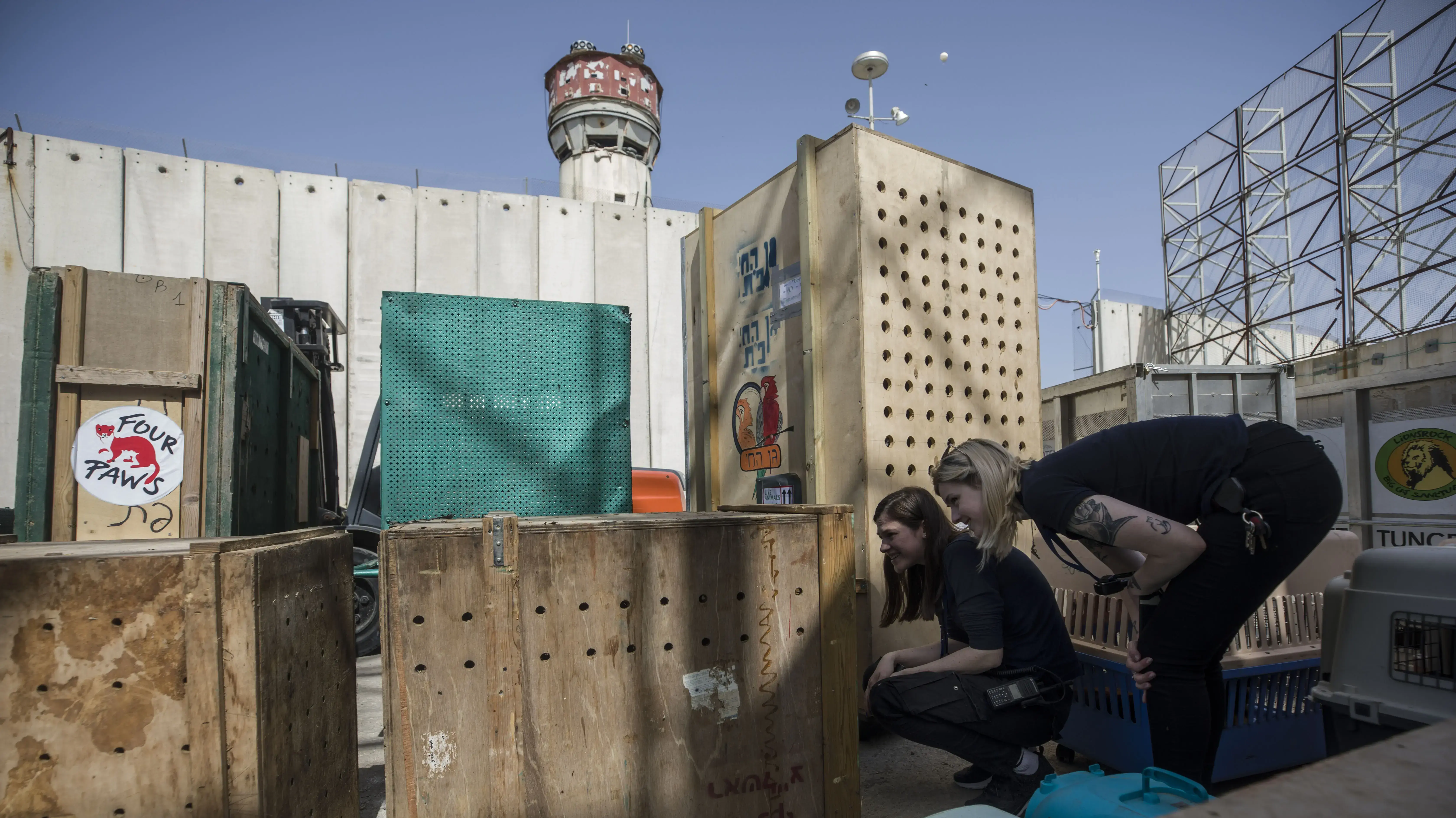 פינוי גן חיות ברפיח, 7 באפריל 2019 פינוי גן חיות ברפיח, 7 באפריל 2019