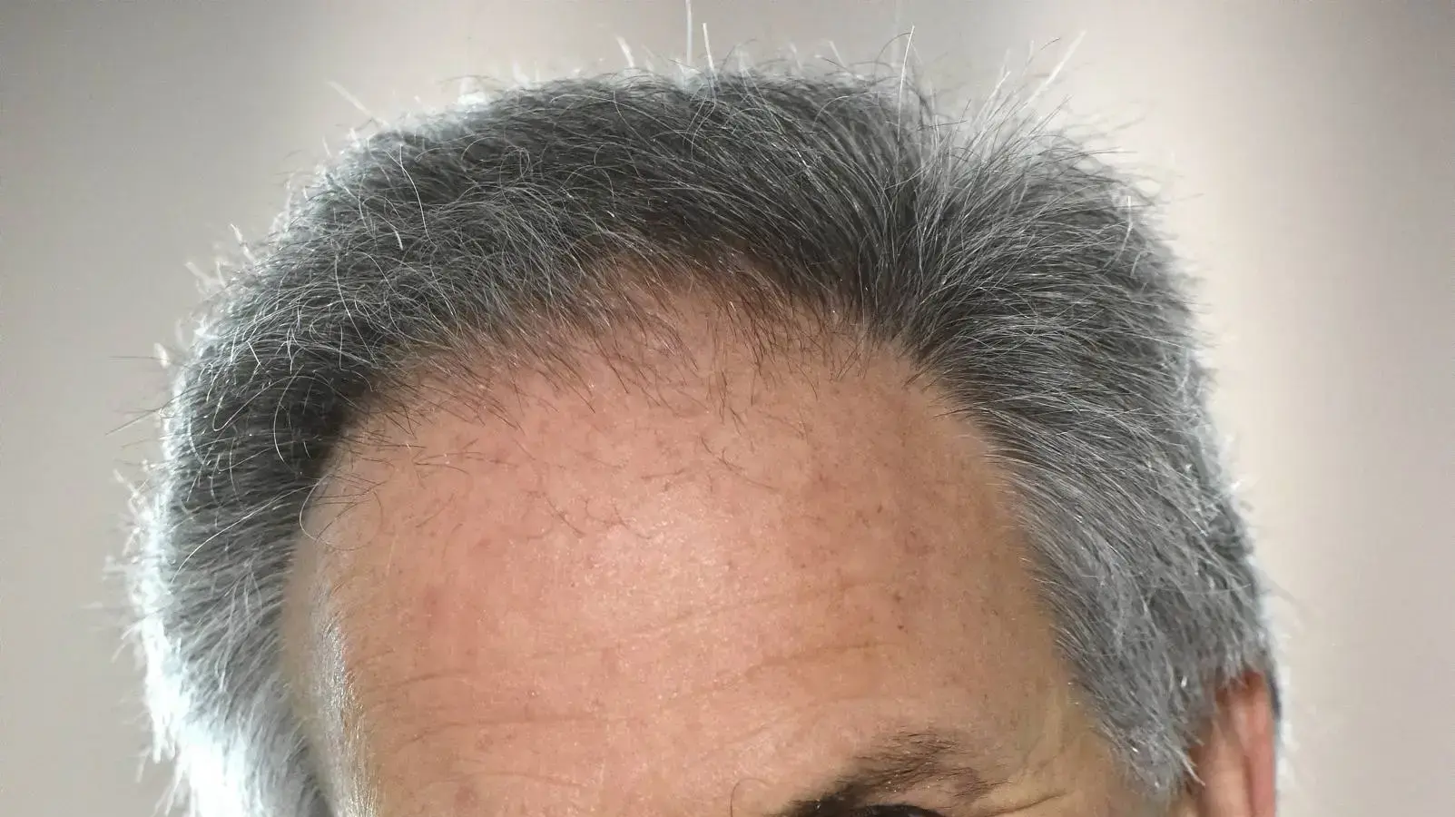 אבי נשר אבי נשר