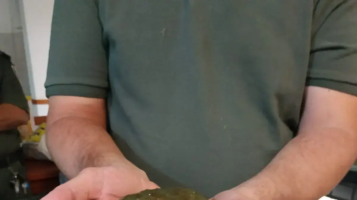 הקרפדה שנתפסה כחלק מסיכול הסחר הבלתי חוקי בזוחלים ובבעלי חיים 17 ביוני 2019 הקרפדה שנתפסה כחלק מסיכול הסחר הבלתי חוקי בזוחלים ובבעלי חיים 17 ביוני 2019