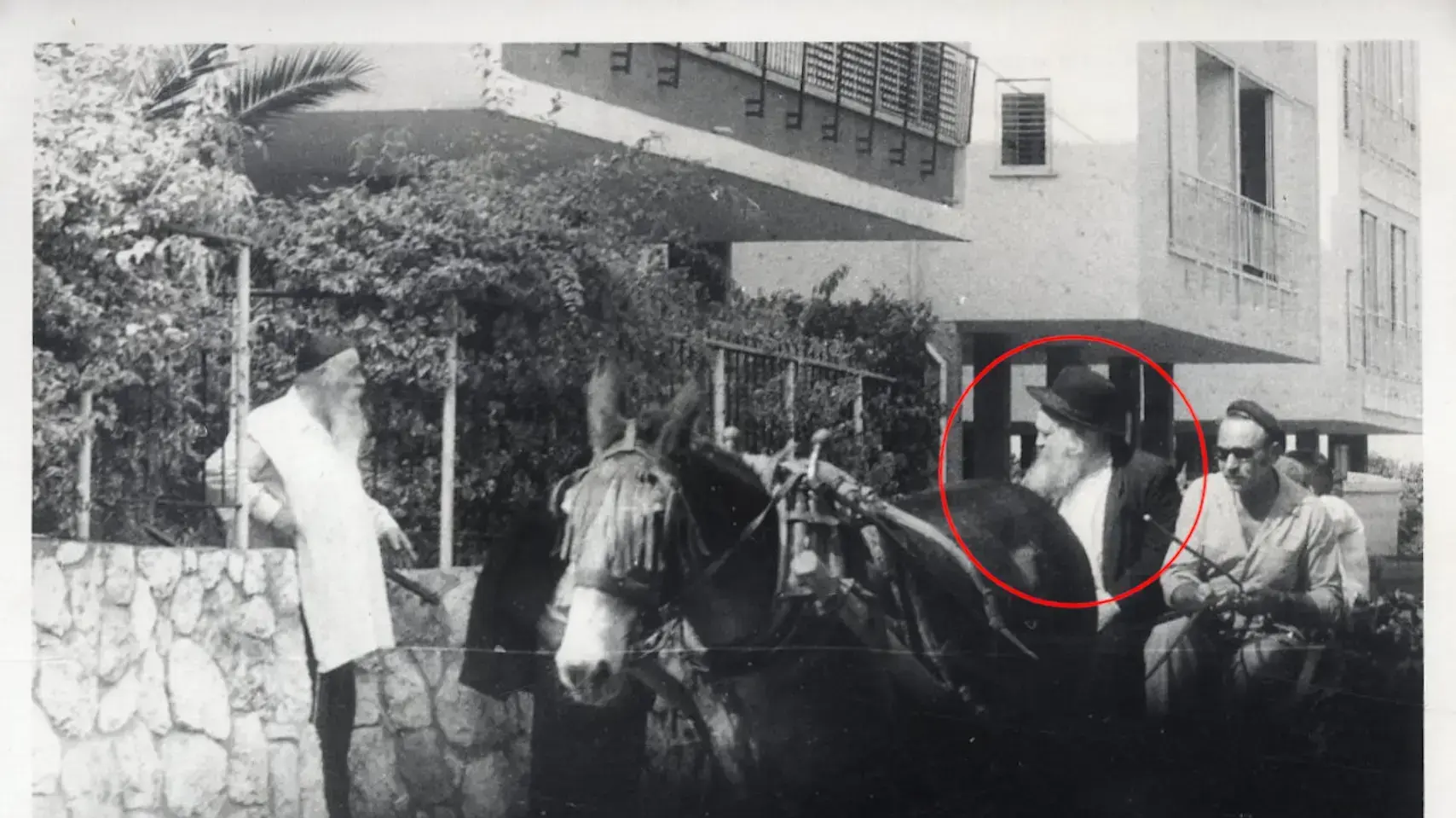 הרב קנייבסקי הרב קנייבסקי