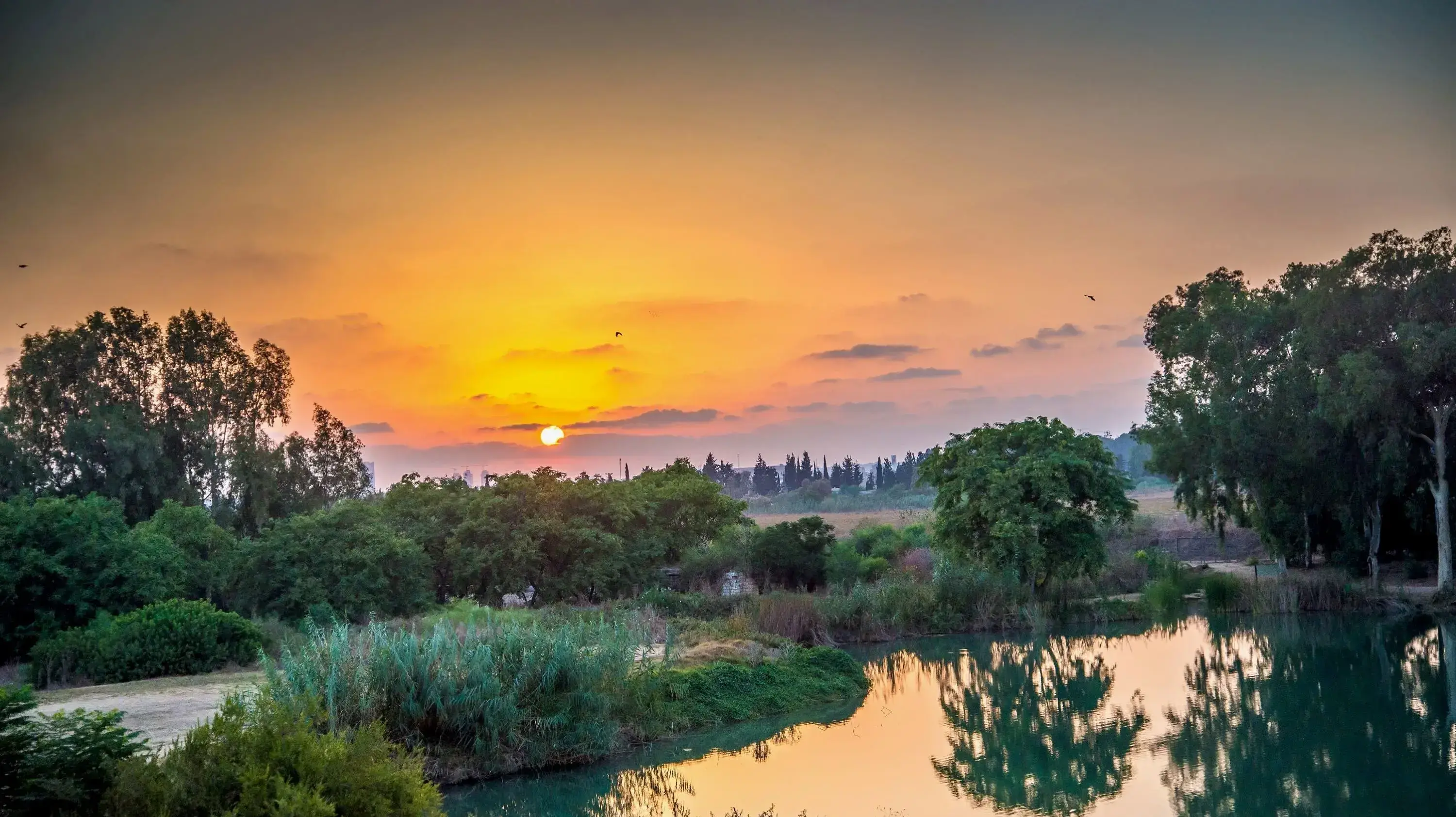 "ביקרתי בכל אתר ואתר כדי לוודא שוודא שהם יפסקו את כל מה שדרוש לנו כדי להתעלות יחד". גן לאומי תל אפק-ירקון