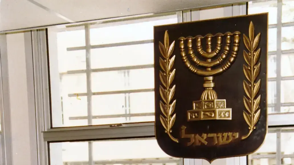 תמונות לכתבה יואב בירון-קטן -
כשופט תמונות לכתבה יואב בירון-קטן -
כשופט
