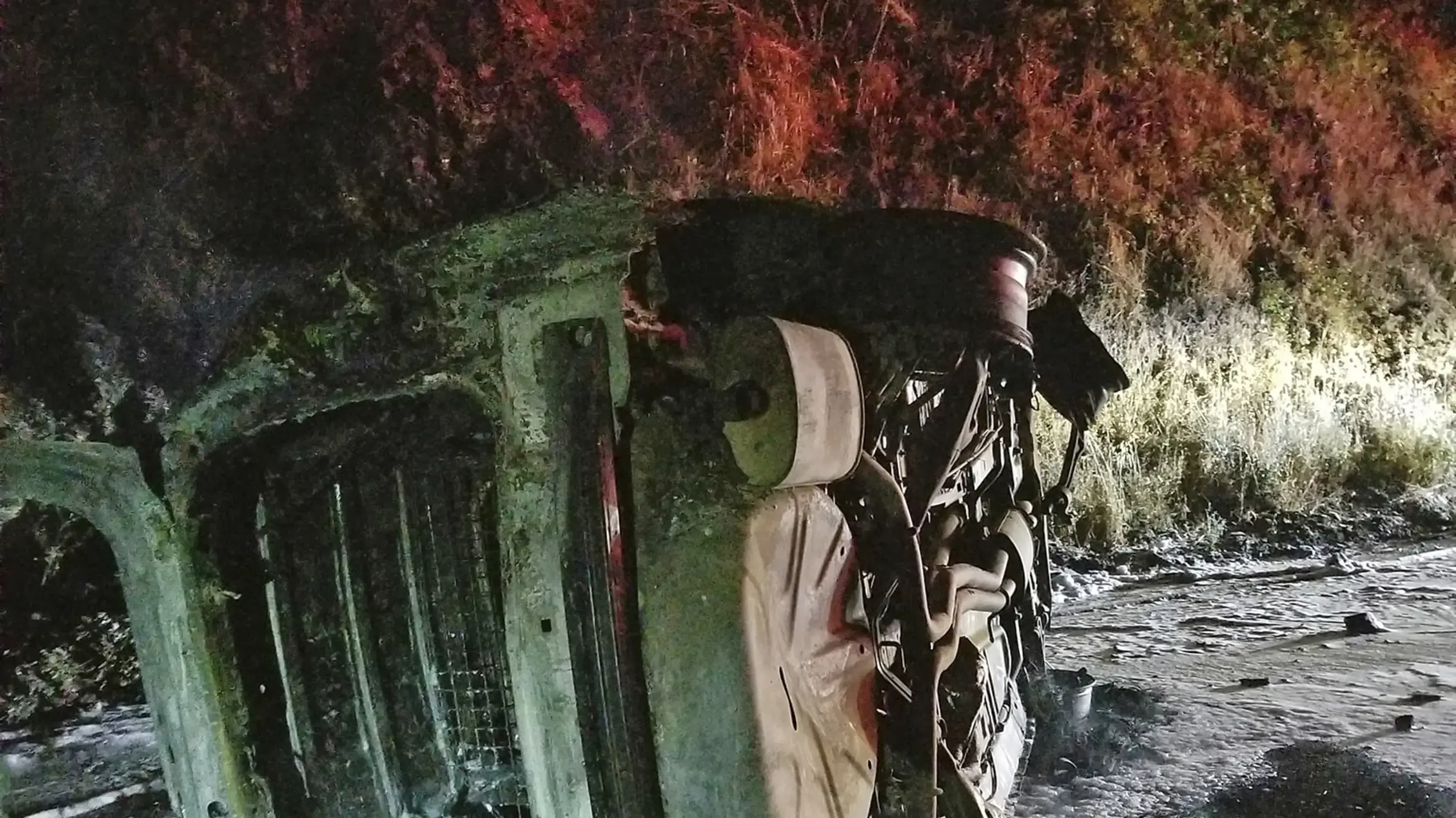 ניידת שנמחצה תחת דוב במדינת קליפורניה, אוגוסט 2019 ניידת שנמחצה תחת דוב במדינת קליפורניה, אוגוסט 2019