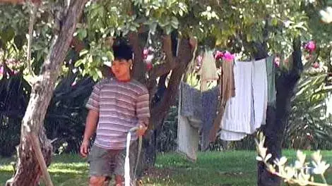 השקיית גינות השקיית גינות
