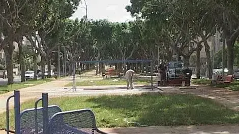 שתילת דשא בשדרות רוטשילד תל אביב שתילת דשא בשדרות רוטשילד תל אביב