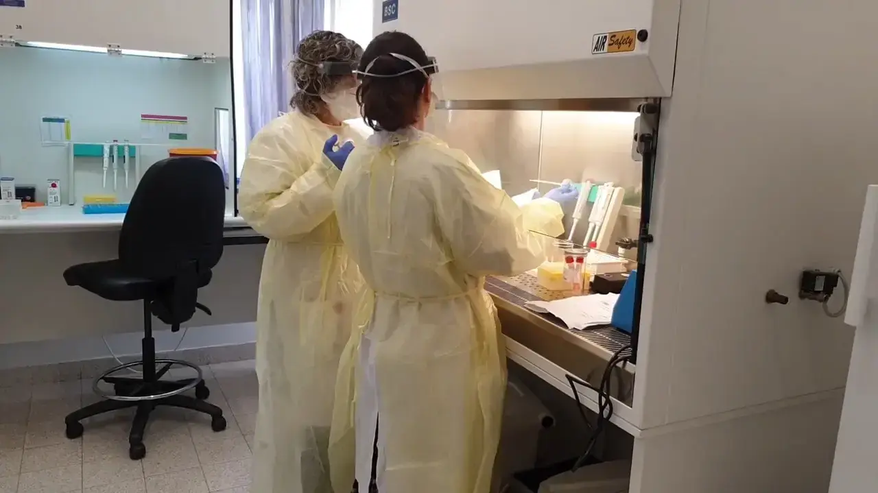 במערכת הבריאות מגבשים תוכנית להרחבת בדיקות הקורונה בקהילה במערכת הבריאות מגבשים תוכנית להרחבת בדיקות הקורונה בקהילה