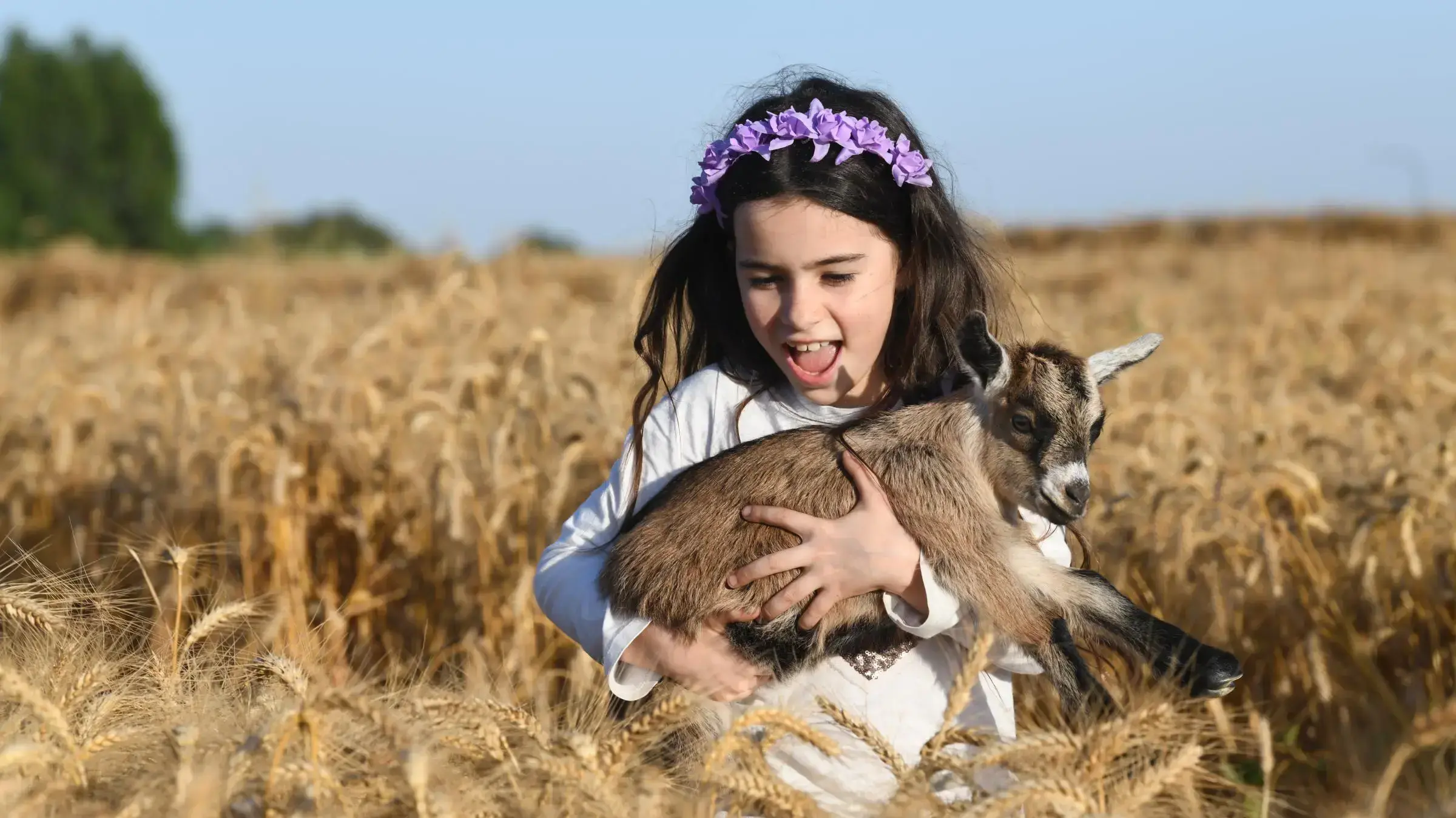 ילדי "החווה של חוה" החווה הקיבוצית בשדות חפץ חיים מתכוננים לקראת חג השבועות 27 במאי 2020 ילדי "החווה של חוה" החווה הקיבוצית בשדות חפץ חיים מתכוננים לקראת חג השבועות 27 במאי 2020