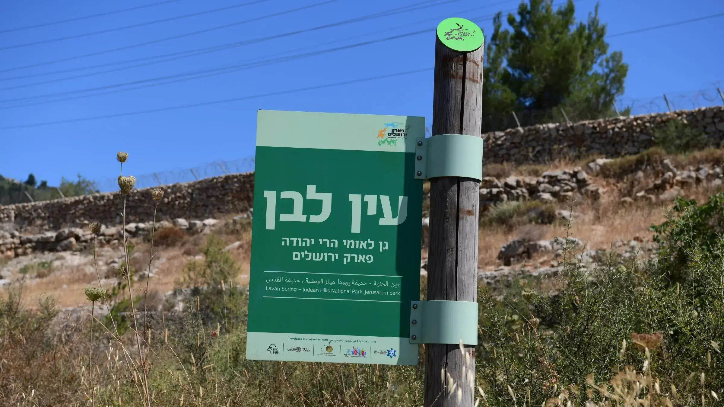 רכס לבן ועין לבן, 16 ביוני 2020 רכס לבן ועין לבן, 16 ביוני 2020