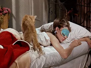 קומי! אודרי הפבורן וחתול במיטה קומי! אודרי הפבורן וחתול במיטה