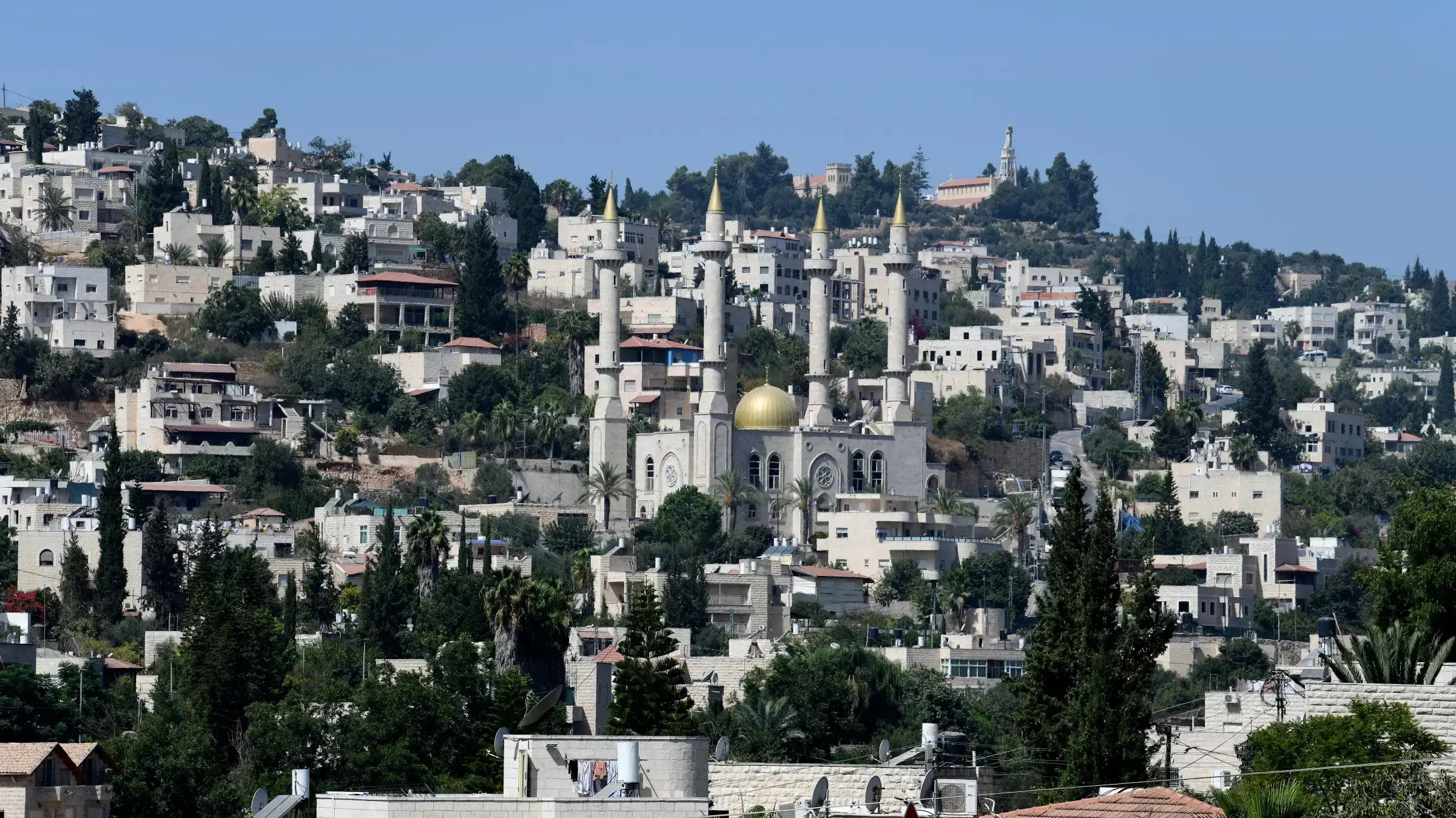 אבו גוש אבו גוש