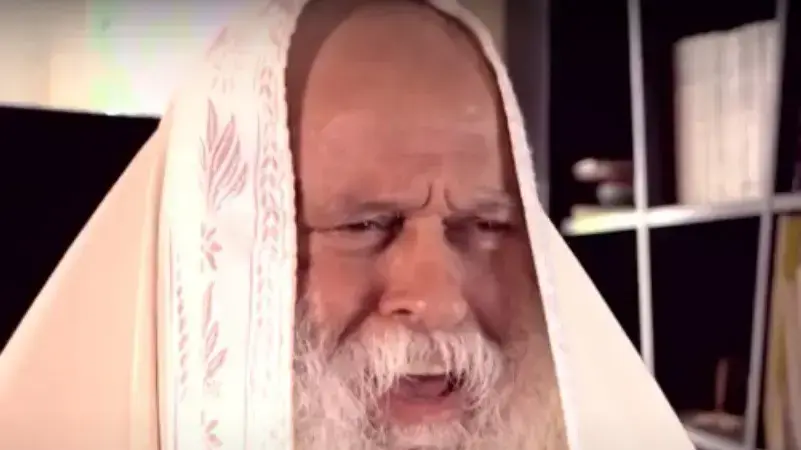 דדי דוד בן עמי דדי דוד בן עמי