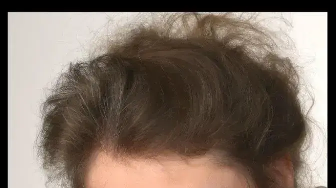 תביים שתי הפקות. שירית לי וייס