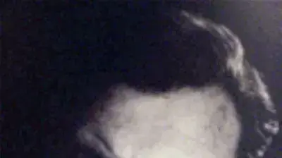 טדי קולק (עירית ירושלים) טדי קולק (עירית ירושלים)