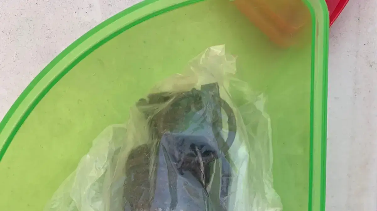 מאבק משטרת ישראל בעבירות האלימות והשימוש בנשק חם בחברה הערבית באזור המשולש - המשטרה חשפה בחיפוש בבית בטירה רובה קרלו ורימון הלם, נעצרו שני חשודים, 4 בינואר 2021 מאבק משטרת ישראל בעבירות האלימות והשימוש בנשק חם בחברה הערבית באזור המשולש - המשטרה חשפה בחיפוש בבית בטירה רובה קרלו ורימון הלם, נעצרו שני חשודים, 4 בינואר 2021
