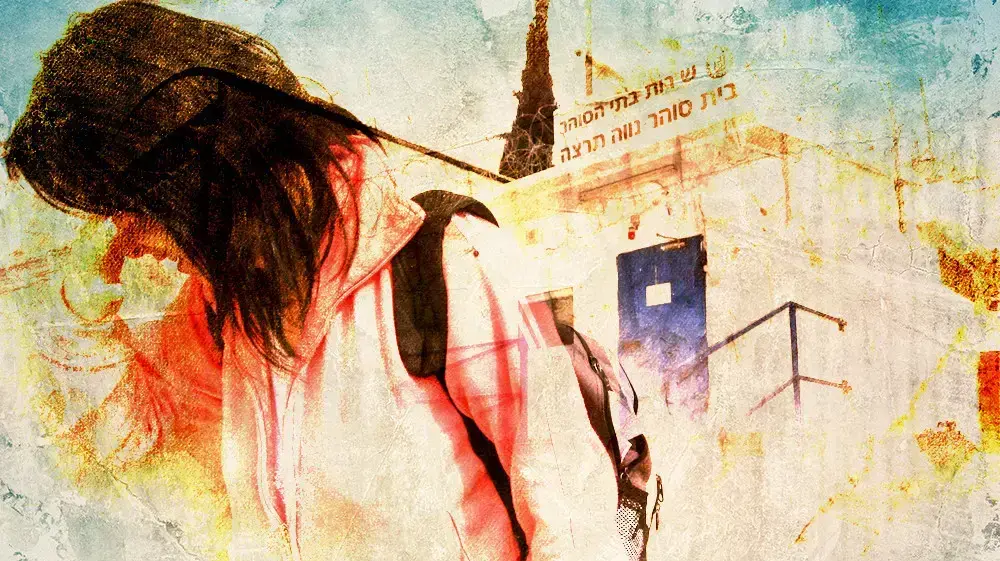 נווה תרצה נווה תרצה