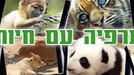 באנר הפינה תראפיה עם חיות