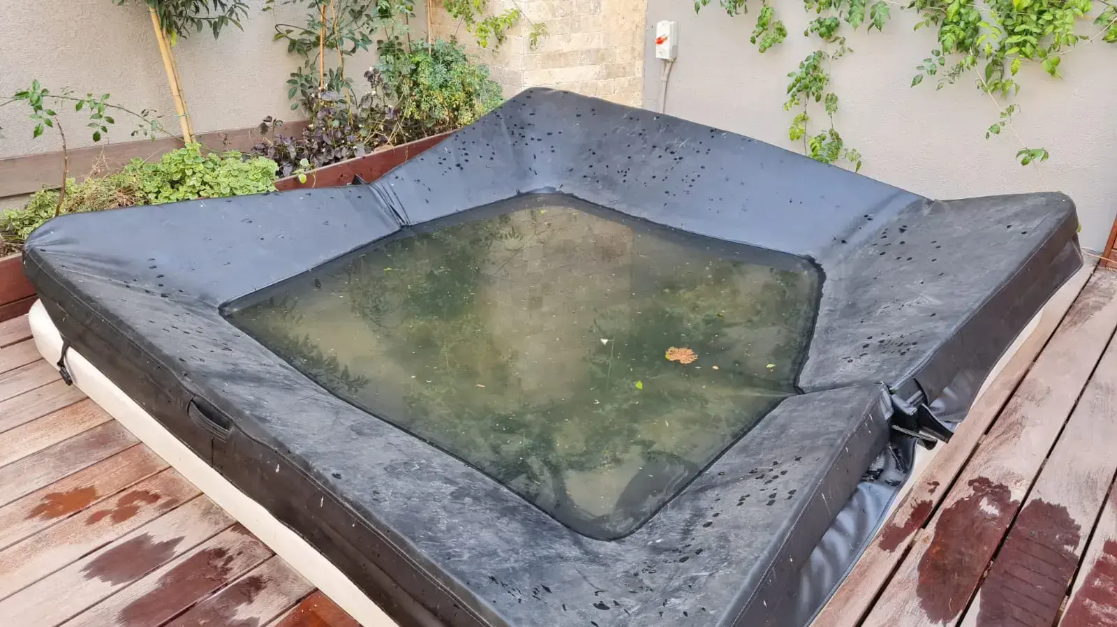 בריכה מכוסה בה טבע פעוט בן שנתיים מגבעת זאב. 3 בפברואר 2021 בריכה מכוסה בה טבע פעוט בן שנתיים מגבעת זאב. 3 בפברואר 2021