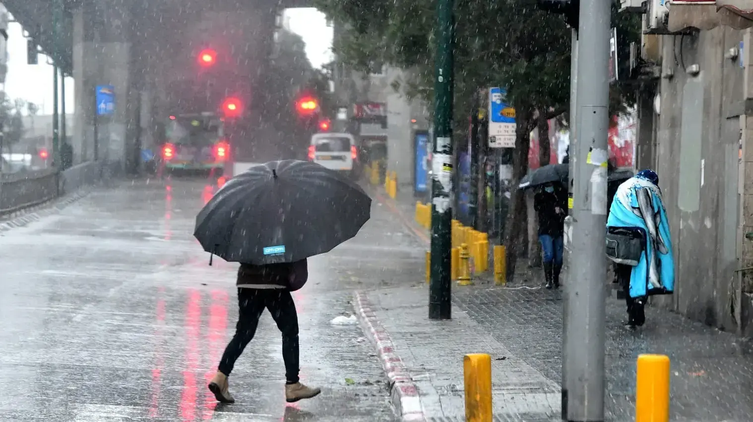 זה בגנים. סופ"ש חורפי בתל אביב