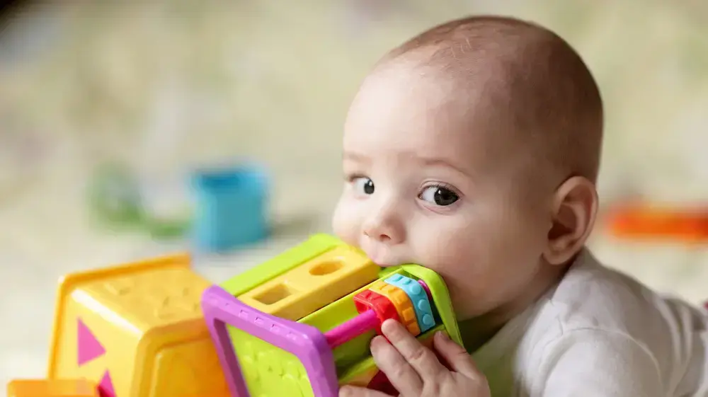 תינוקות שלומדים על העולם דרך מישוש הסביבה נמצאים בסיכון גבוה. תינוק מכניס צעצוע לפה תינוקות שלומדים על העולם דרך מישוש הסביבה נמצאים בסיכון גבוה. תינוק מכניס צעצוע לפה