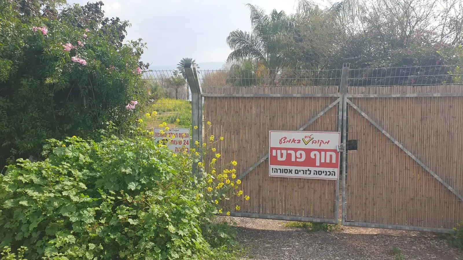 מבט לחלקה שמוצעת למכירה בכנרת מבט לחלקה שמוצעת למכירה בכנרת