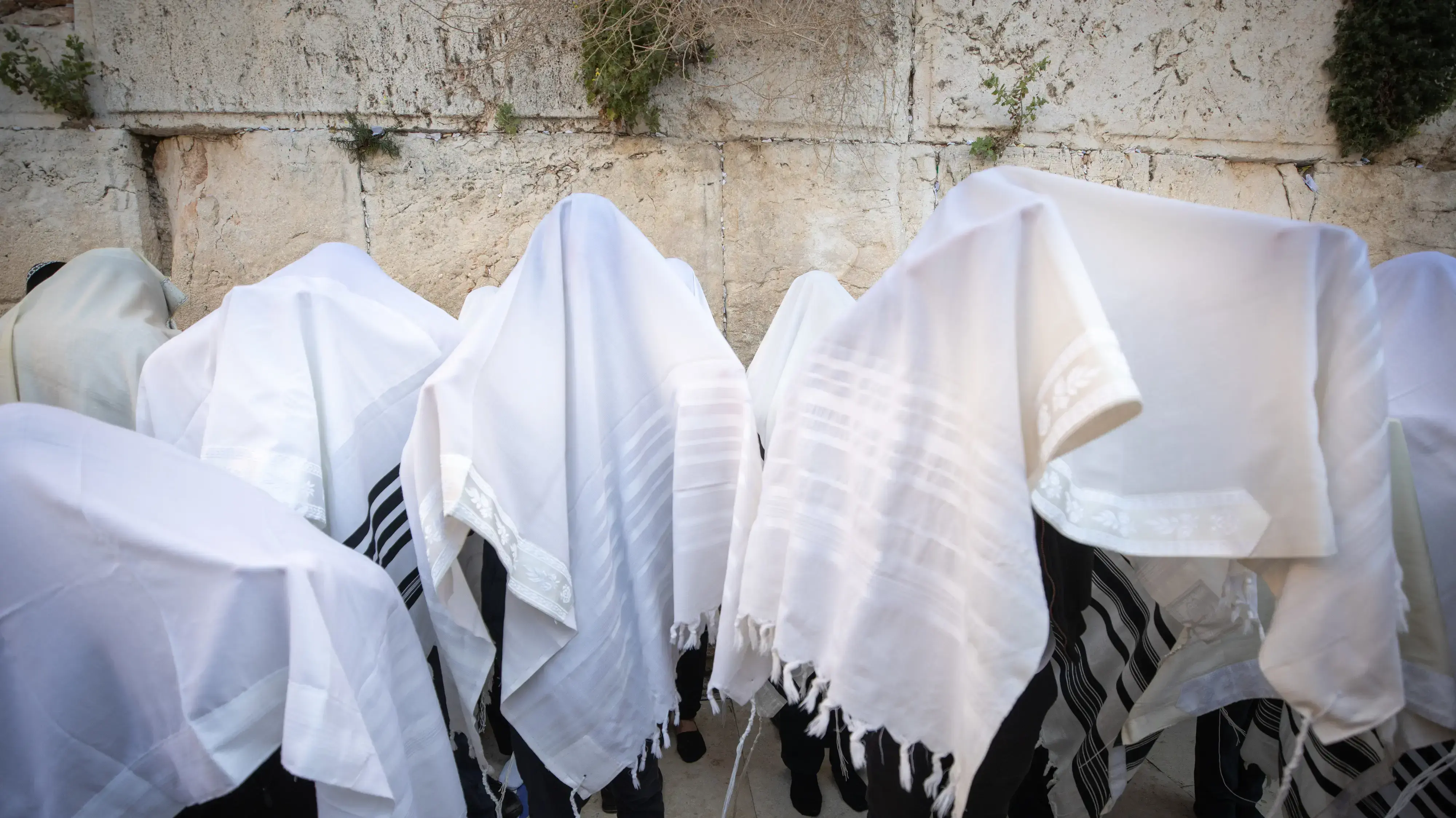 ברכת הכהנים בכותל, 30 במרץ 2021 ברכת הכהנים בכותל, 30 במרץ 2021