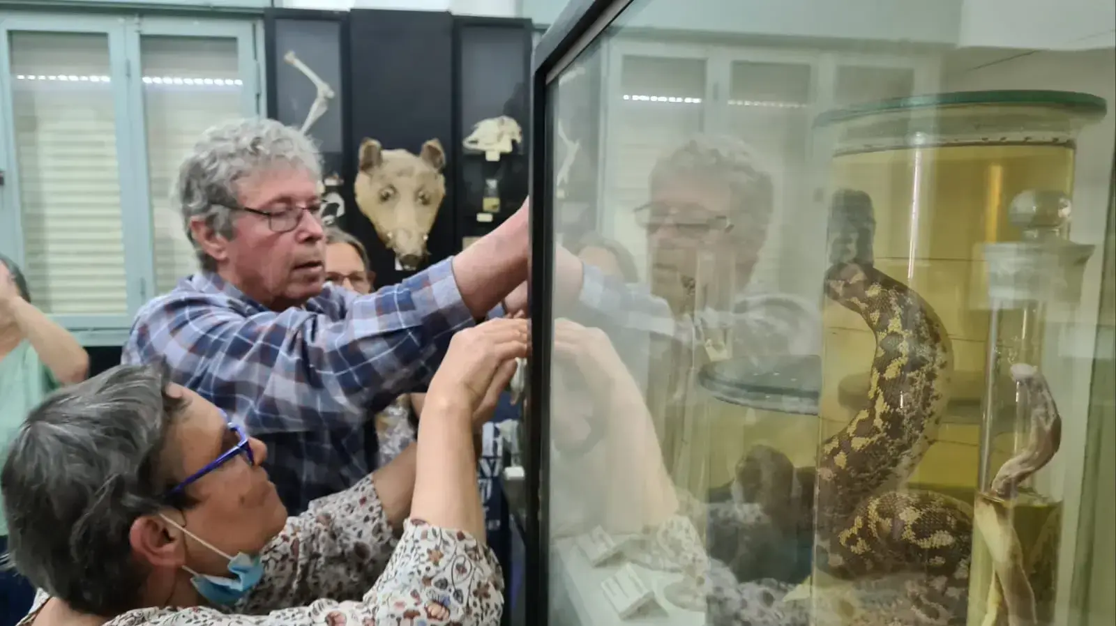 מוזיאון בית גורדון מוזיאון בית גורדון