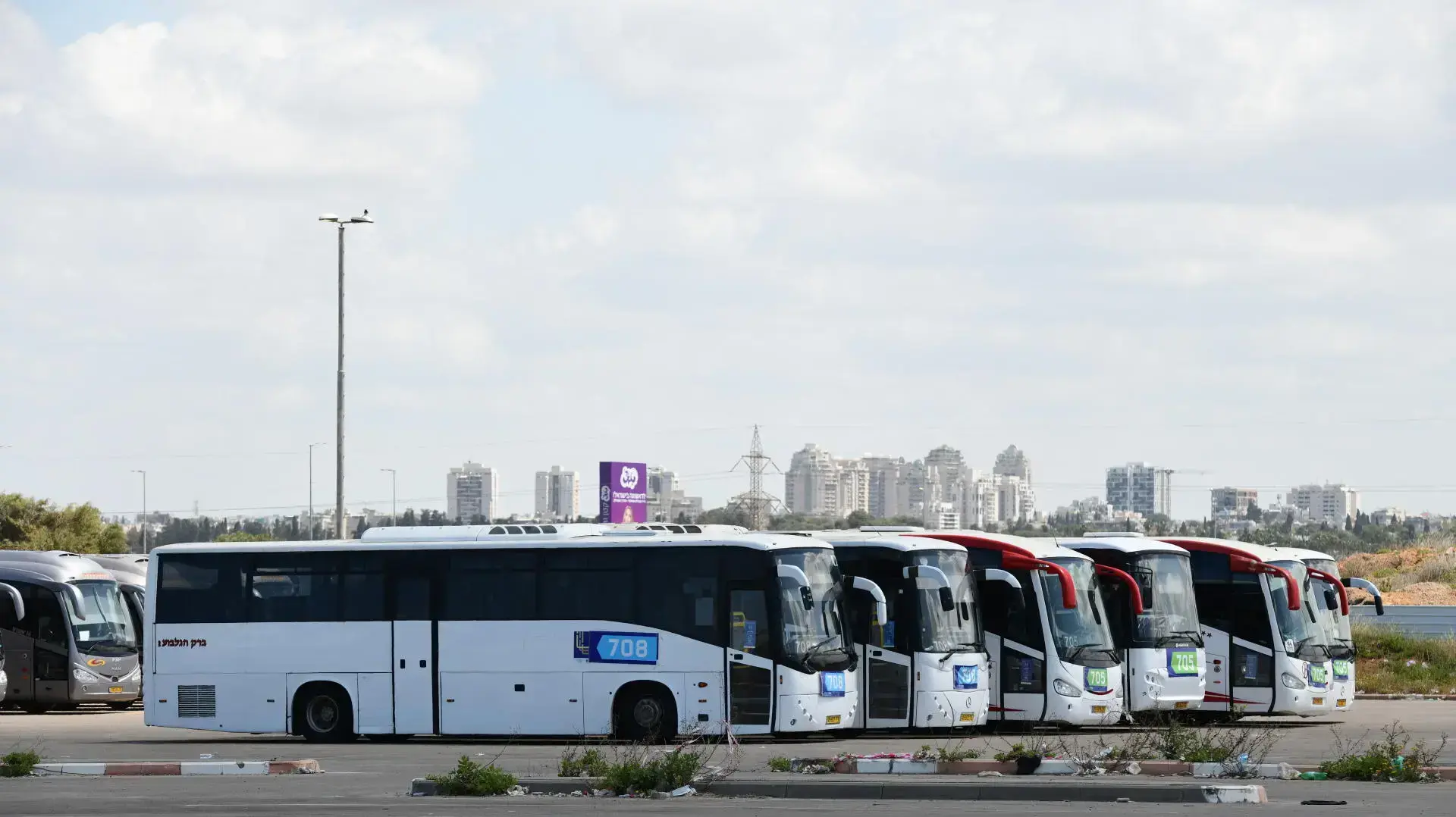 אוטובוסים אוטובוסים