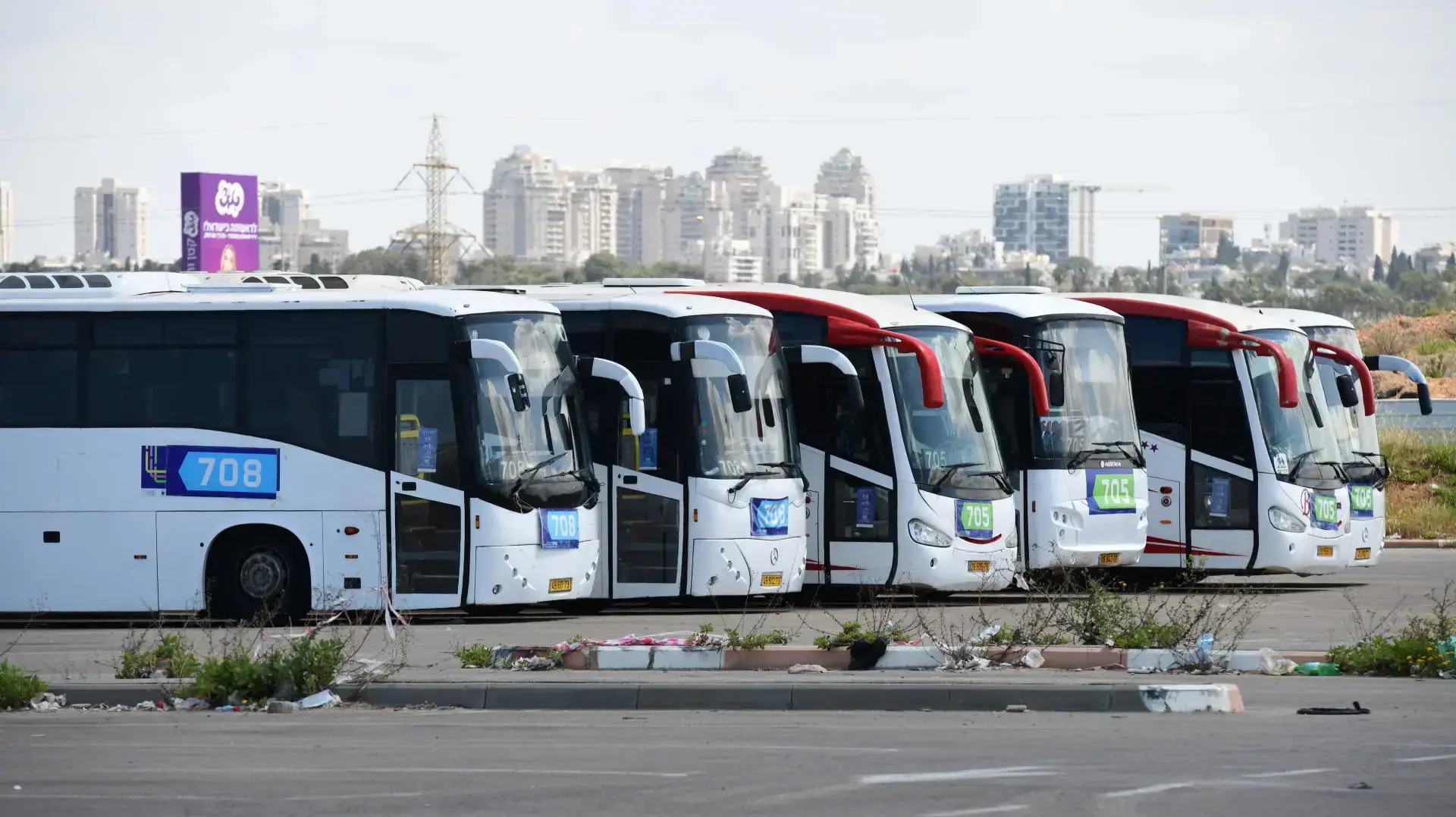אוטובוסים אוטובוסים