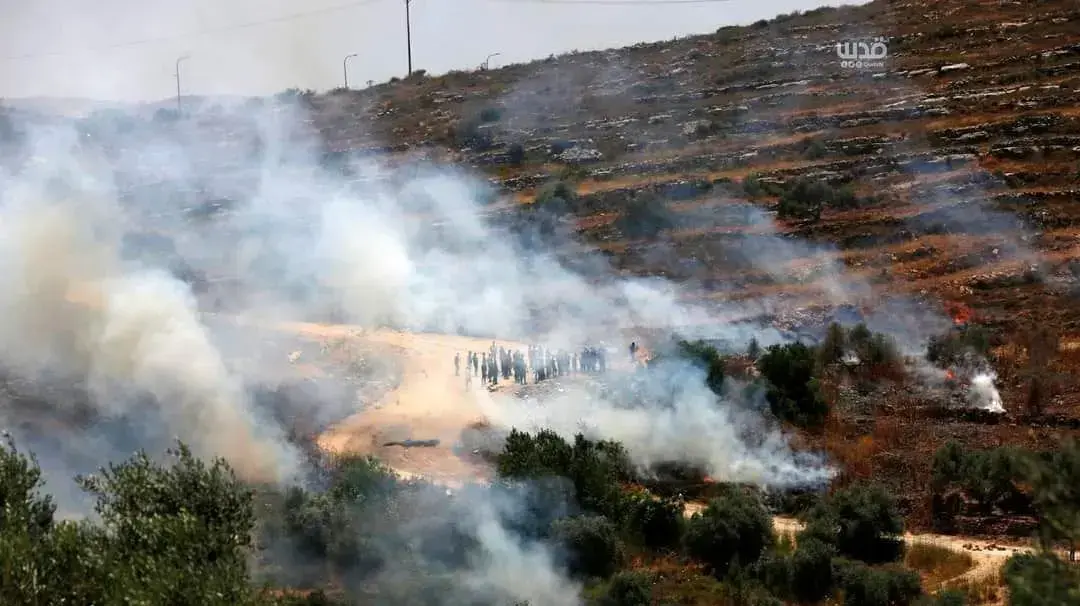 עימותים בין כוחות הביטחון לפלסטינים סמוך לשכם. 28 במאי 2021 עימותים בין כוחות הביטחון לפלסטינים סמוך לשכם. 28 במאי 2021