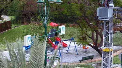 רעננה בסופת ברד. (ארזS) רעננה בסופת ברד. (ארזS)