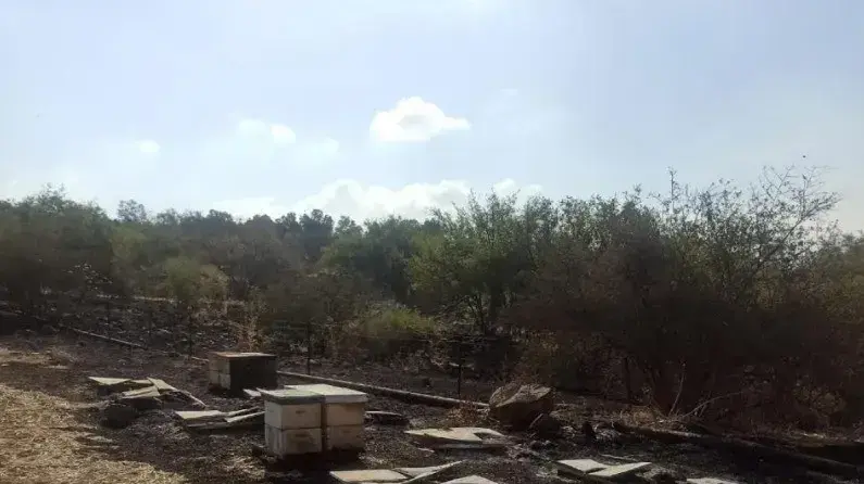 32 כוורות דוברים שלו עלו באש בשריפה גדולה שהשתוללה אחר הצהריים במורדות הגולן, סמוך לפארק הירדן 32 כוורות דוברים שלו עלו באש בשריפה גדולה שהשתוללה אחר הצהריים במורדות הגולן, סמוך לפארק הירדן