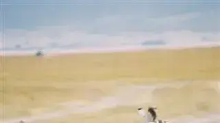 מתוך תערוכת צילומים מאפריקה מתוך תערוכת צילומים מאפריקה