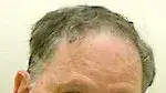 רן ארז רן ארז