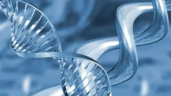 אילוסטרציה DNA אילוסטרציה DNA