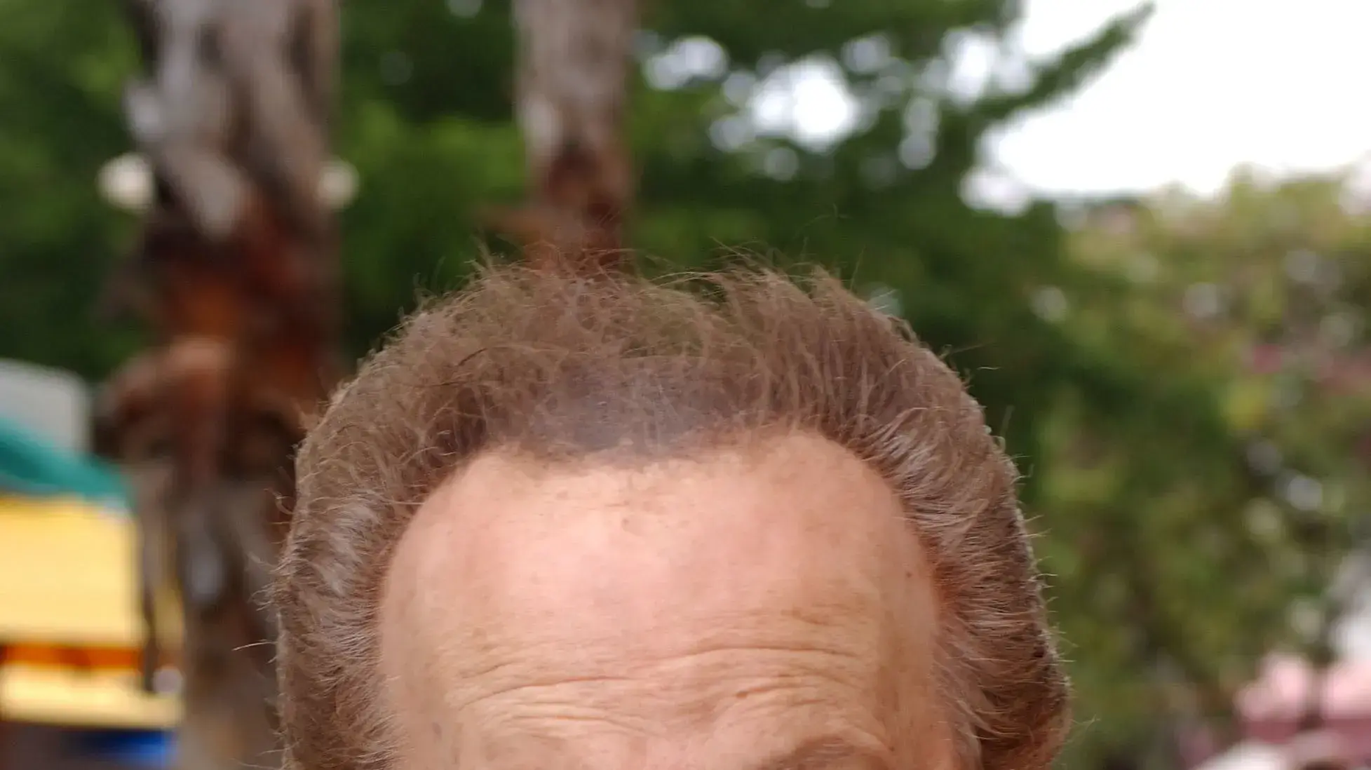 ג'קי מייסון ג'קי מייסון