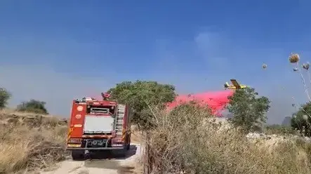 שריפה באיזור שפך הירדן לכנרת 27 ביולי 2021 שריפה באיזור שפך הירדן לכנרת 27 ביולי 2021