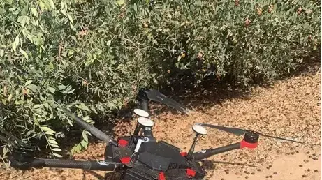 רחפן של חמאס שצה"ל הפיל בגבול רצועת עזה, 11 באוגוסט 2021 רחפן של חמאס שצה"ל הפיל בגבול רצועת עזה, 11 באוגוסט 2021