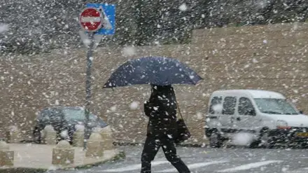 שלג יורד בירושלים מרץ 2007 (ברני ארדוב) שלג יורד בירושלים מרץ 2007 (ברני ארדוב)