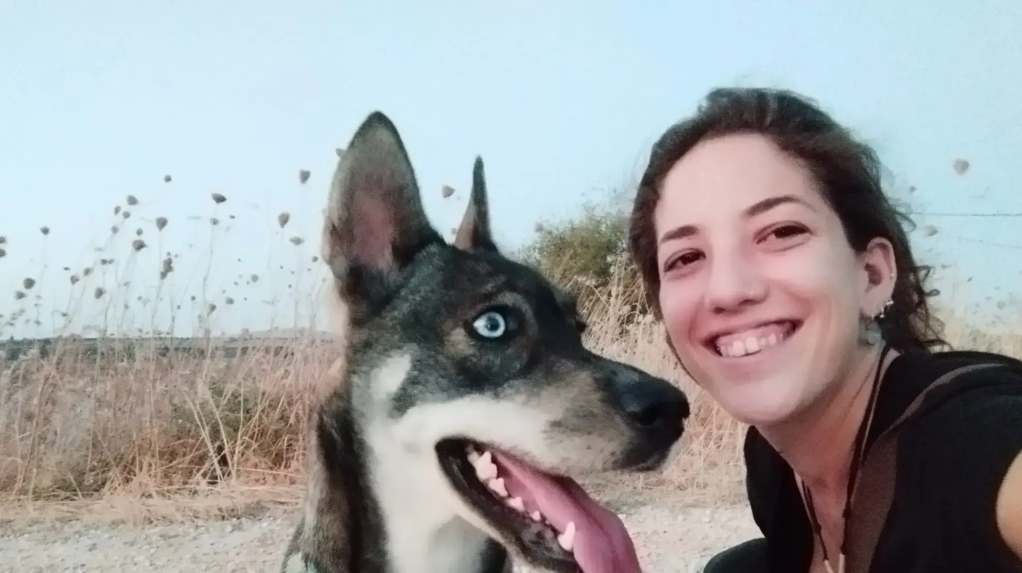 שלושה ימים אחרי שנפלה לפיר עמוק חולצה הכלבה פיי מתוך שלולית מים באתר בנייה בראש פינה שלושה ימים אחרי שנפלה לפיר עמוק חולצה הכלבה פיי מתוך שלולית מים באתר בנייה בראש פינה