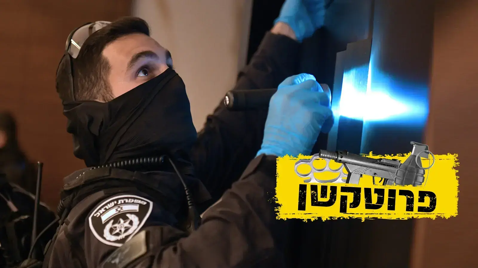 פעילות משטרת ישראל פעילות משטרת ישראל