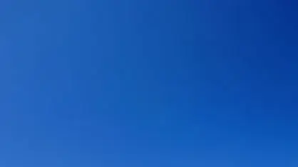 משתזפות על החוף משתזפות על החוף