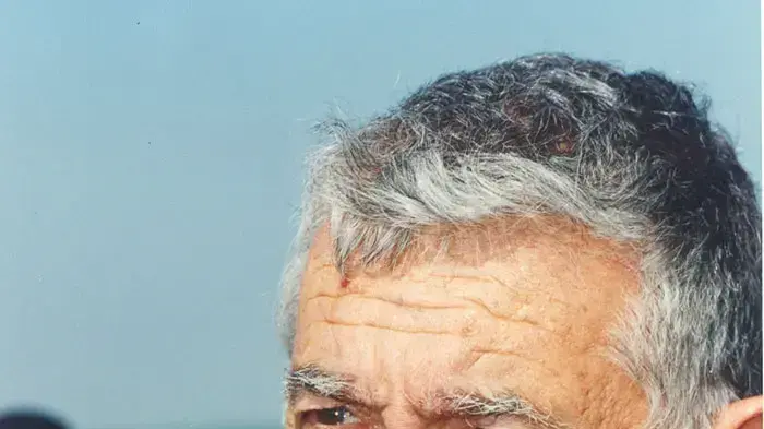 צבי בר צבי בר